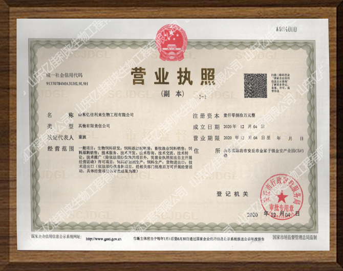 荣誉资质